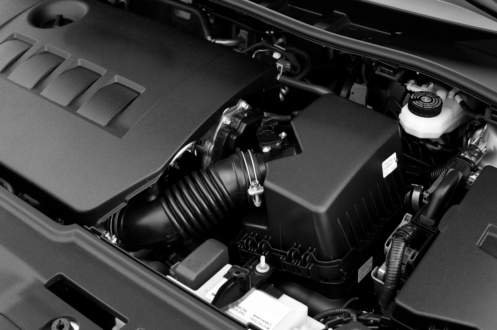 screenshot 2026 02 10 201020